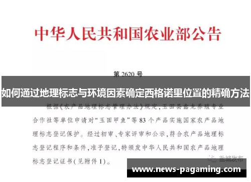 如何通过地理标志与环境因素确定西格诺里位置的精确方法